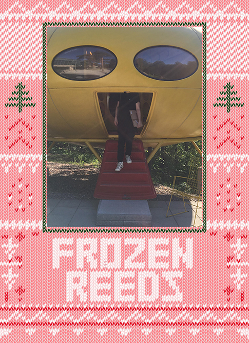 Frozen Reeds 2019