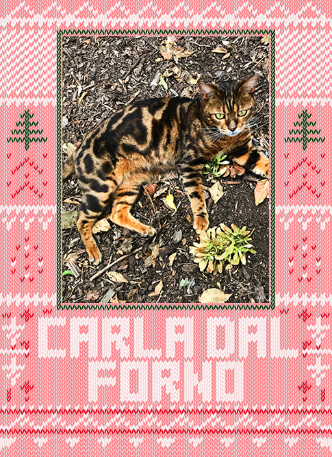 Carla dal Forno 2019