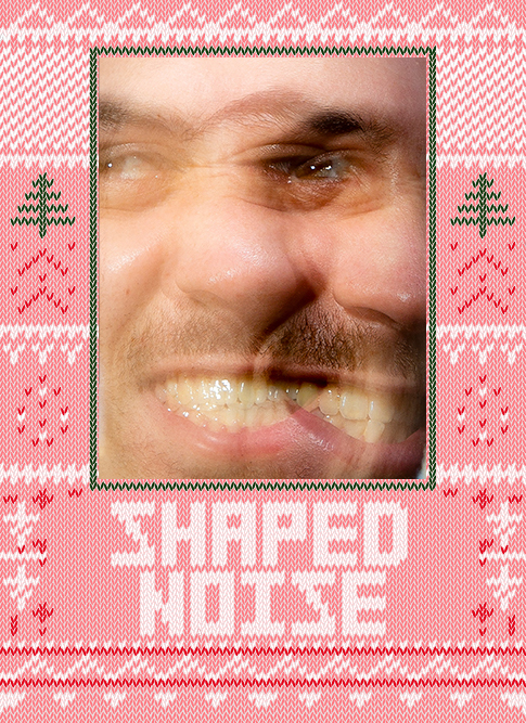 Shapednoise 2019