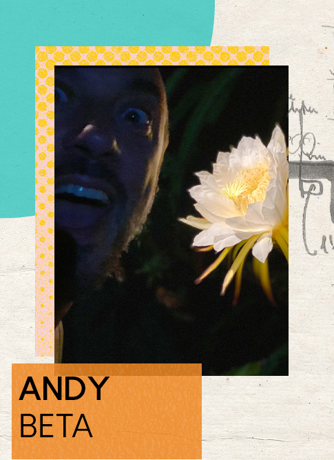 Andy Beta 2022