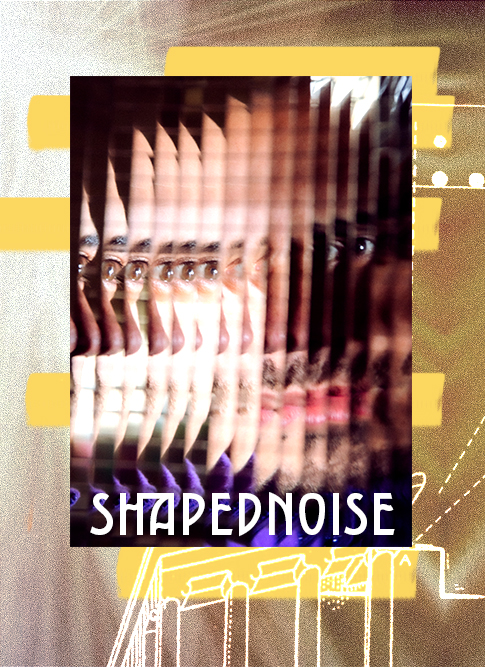 Shapednoise 2023