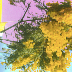 Four Tet - Into Dust (Still Falling) - Boomkat