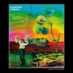 洋楽 A Sucked Orange Nurse With Wound A Sucked Orange / Scrag | Nurse With Wound