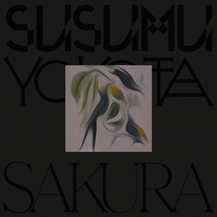⬛︎SUSUMU YOKOTA image 1983 - 1998 Image 1983-1998 (Skintone Edition) | Susumu Yokota