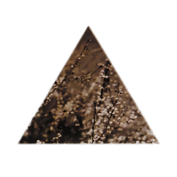 洋楽 Terre Thaemlitz TRANKILIZER EP 3 Terre Thaemlitz – Tranquilizer EP 3 – Vinyl (12