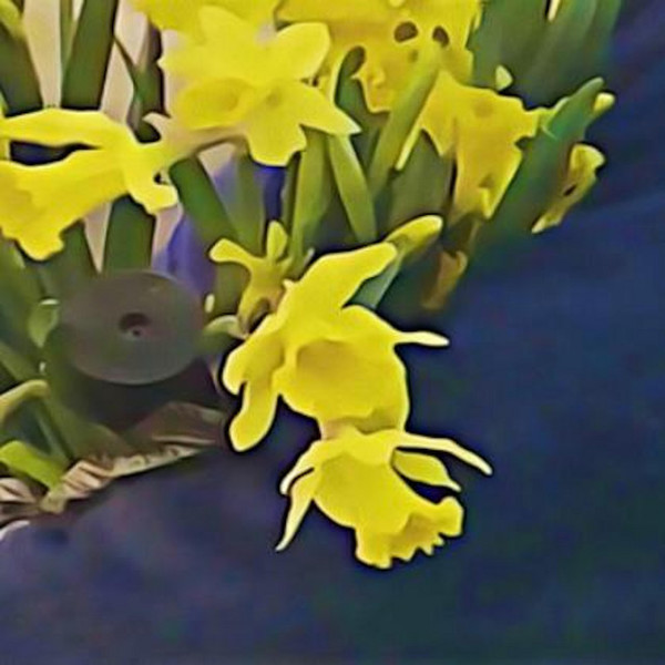 Dean Blunt & Elias Rønnenfelt - Lucre - Boomkat