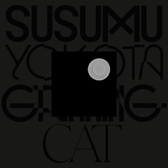 ⬛︎SUSUMU YOKOTA image 1983 - 1998 Image 1983-1998 (Skintone Edition) | Susumu Yokota
