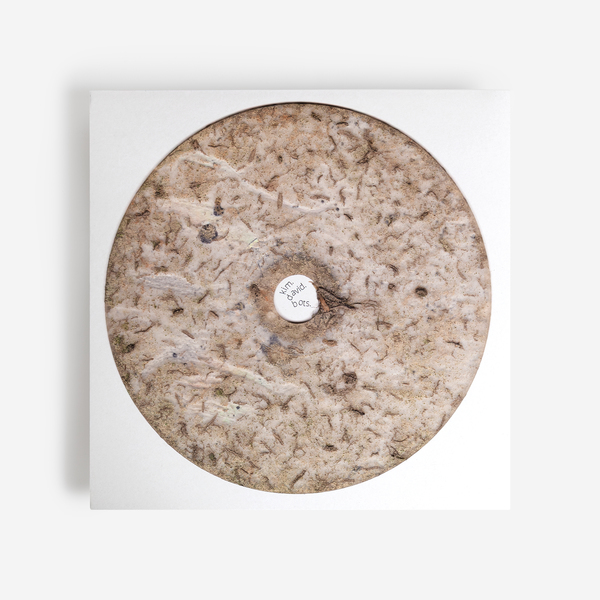 その他 LP Kim David Bots Instrumental Romance SONLP020 	SOUTH OF NORT /00260 Kim David Bots - Instrumental Romance - Boomkat