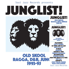 レア盤 Various / Ragga in the Jungle 1995 SJR588.jpeg