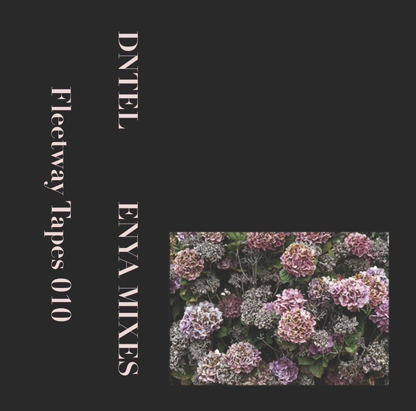 DNTEL - Enya Mixes - Boomkat
