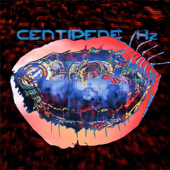 Animal Collective - Centipede Hz (Regular Vinyl Edition) - Boomkat