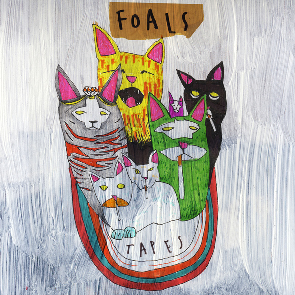 foals cat t shirt