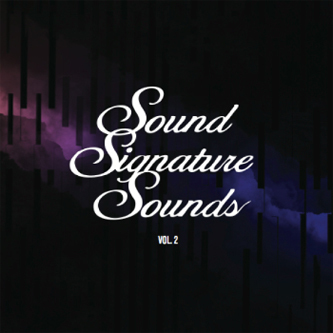 Theo Parrish - Sound Signature Sounds (Vol. 2) - Boomkat