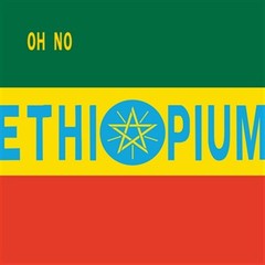 Oh No – Dr. No's Ethiopium 2LP レコード
