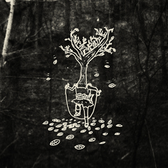 Soft New Magic Dream | Black Moth Super Rainbow