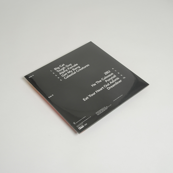 Boyking lp deluxe back