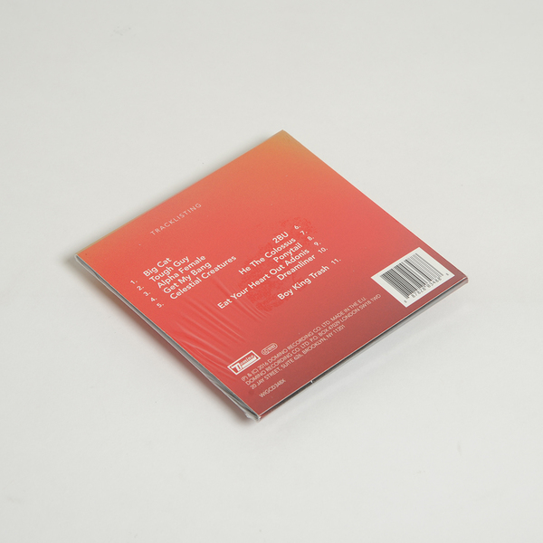 Boyking cd deluxe back