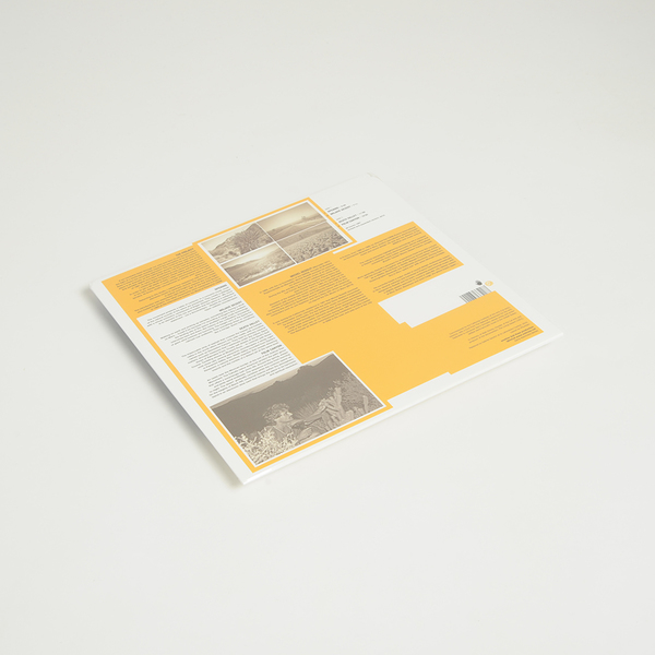 Deserttracks lp b