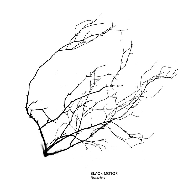 Black motor branches