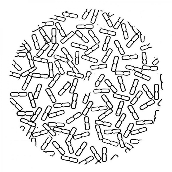 5050580551701