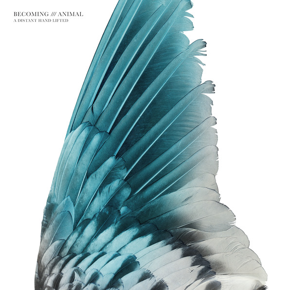 Tr161 cover