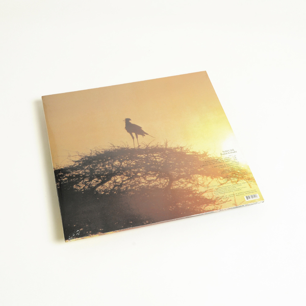Nature Fumio Itabashi - – | Discogs by Vinyl : Better 和ジャズ CD