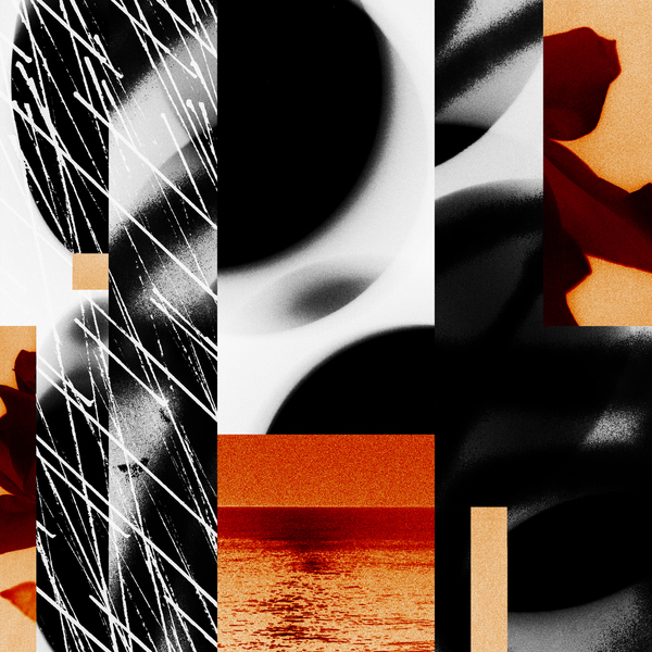 5054429134087 t2 image
