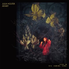 Image result for aviary julia holter