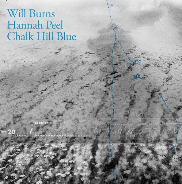 Chalk hill blue