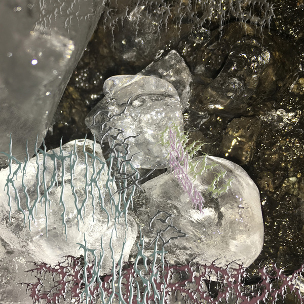0731275881208 t4 image
