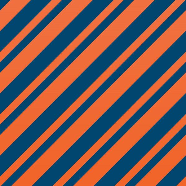 8718754955003
