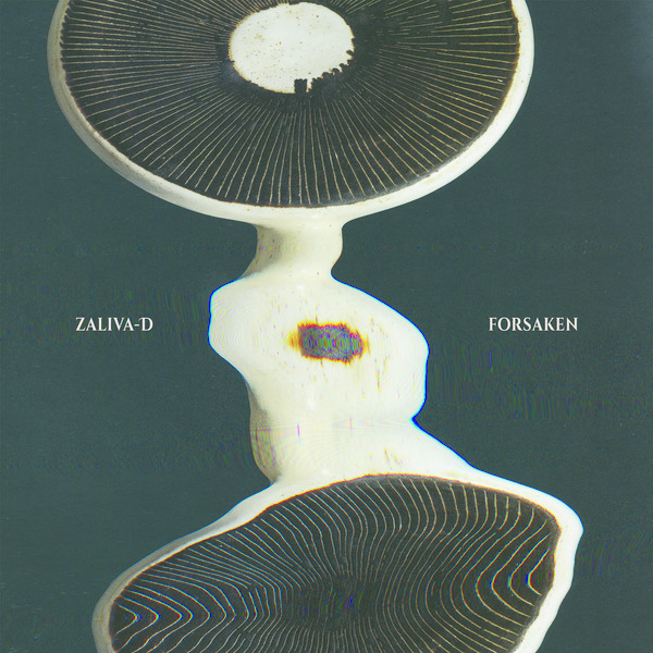 Kh020   zaliva d   forsaken   2000x2000