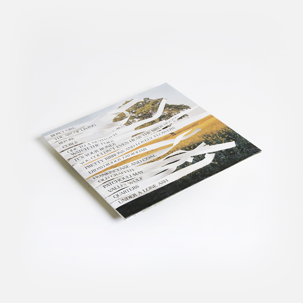 Bibio Ribbons Boomkat