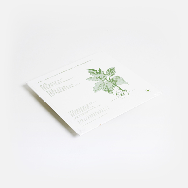 Plantasia green b