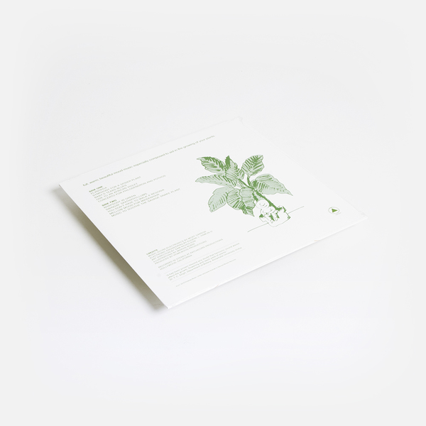 Plantasia black b