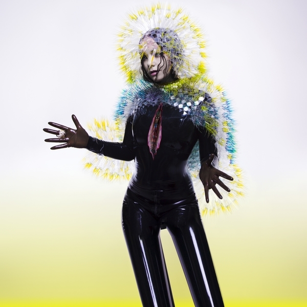 額装品/Bjork（ビョーク）/Vulnicura 2015年/インテリア Björk - Vulnicura - Boomkat