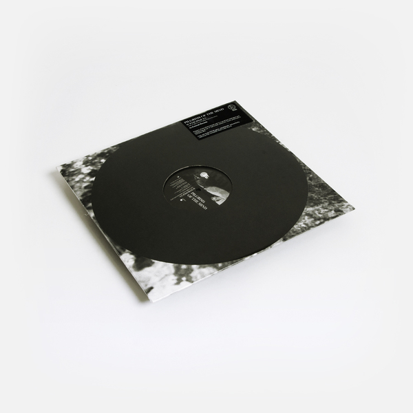 Echovolt f