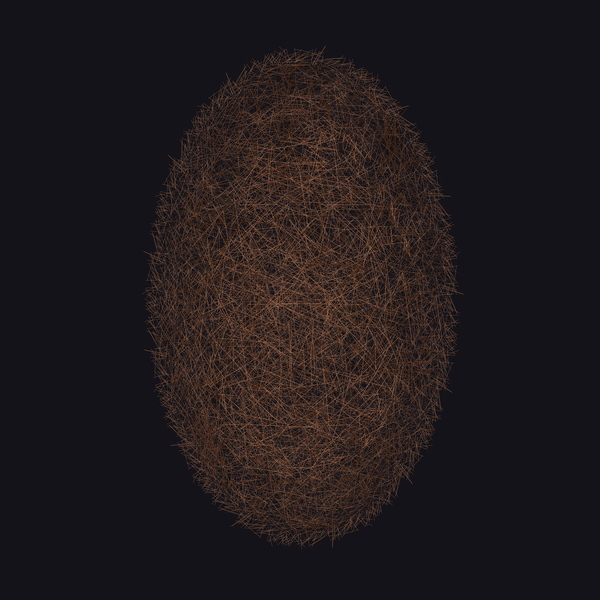 742832795296