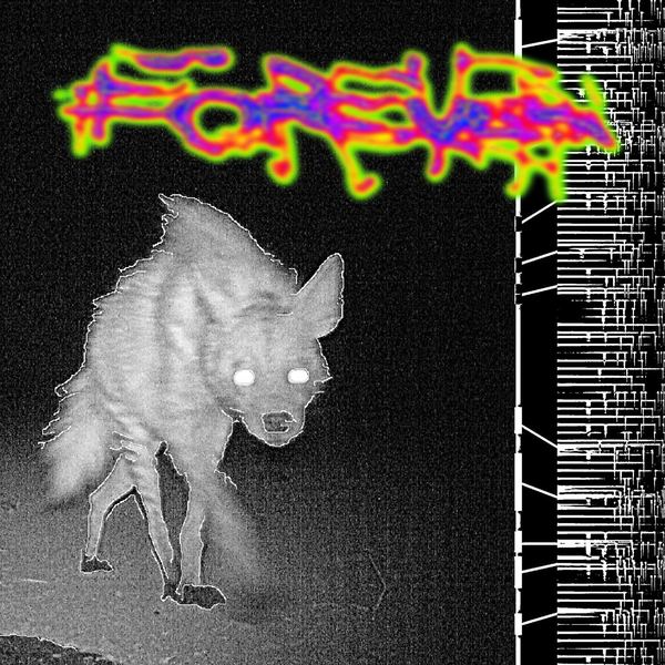 5056321603005 t34 image