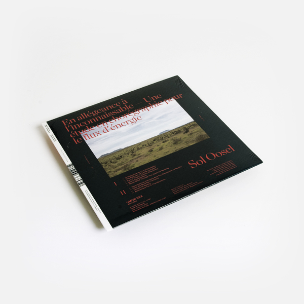 Sol Oosel En Allegeance A L 39 Inconnaissable Une Etude En Choregraphie Pour Le Flux sol oosel en allegeance a l 39