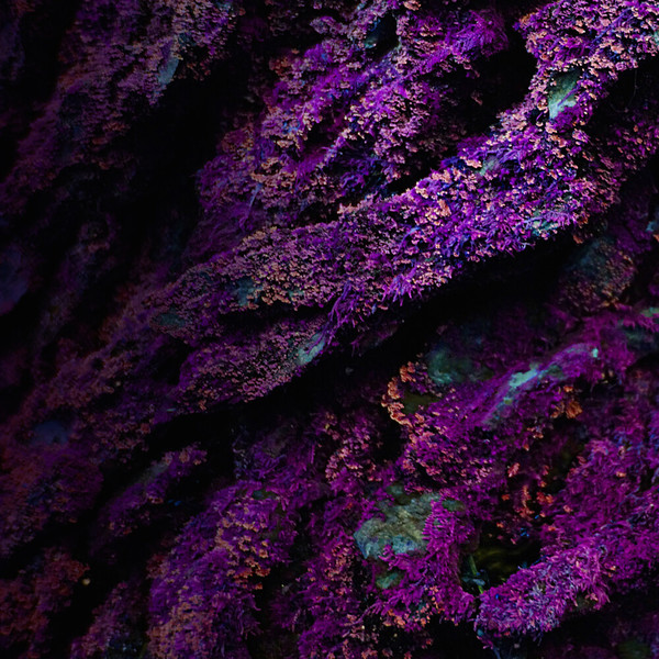 192641420542