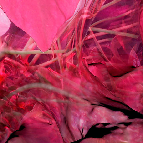 A1638658024 16