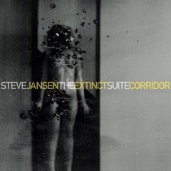 Steve Jansen Corridor Boomkat
