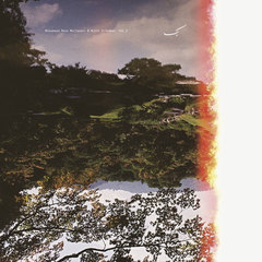 Brainwaltzera Poly Ana Vinyl At Juno Records