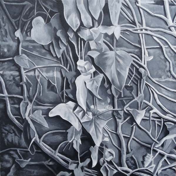 Walled garden cover