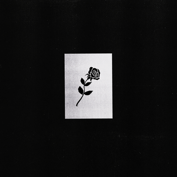 744861611165 t12 image