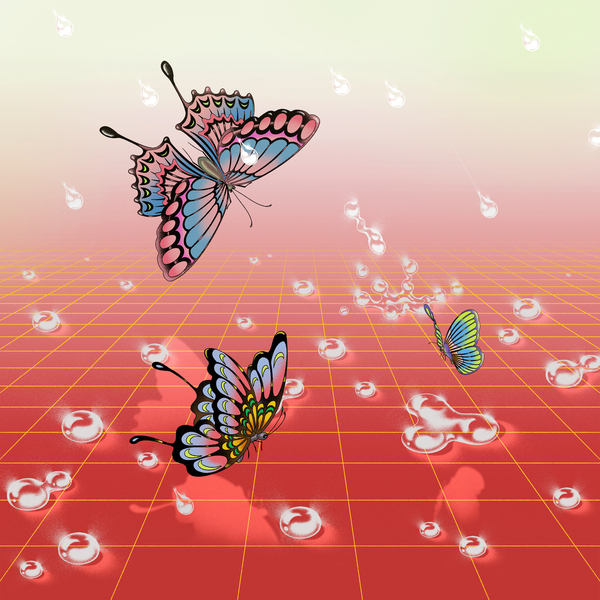 5060913700560 t2 image