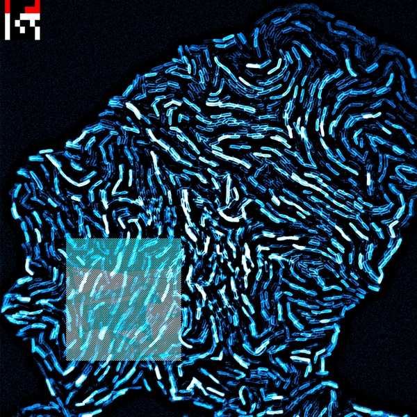 3616555319022