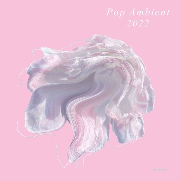 189568 various pop ambient 2022