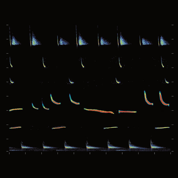 5060438883731